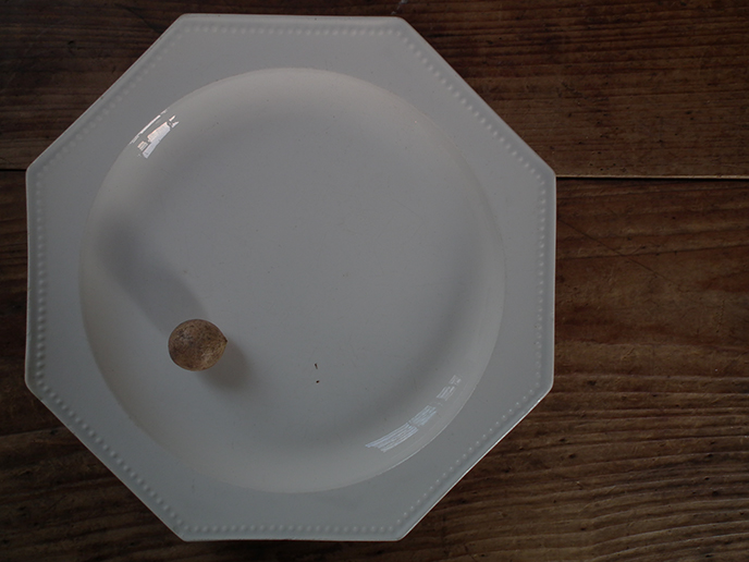 ※美品※フランスアンティーク　ジアンのプレート　平皿　Gien 26.3cm
