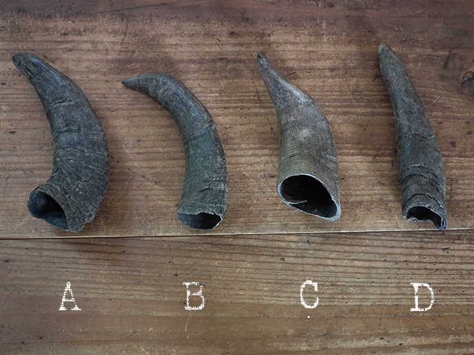 E 山羊の角 小 1 Mansikka Antiques