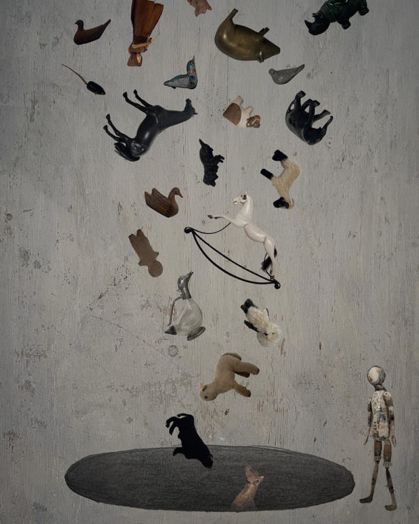 生物多様性のイベントイメージ